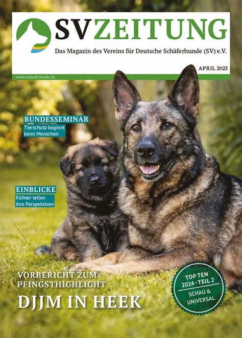 sv doxs|sv doxs hundedatenbank.